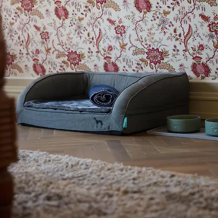 Detmolder Hof Detmold