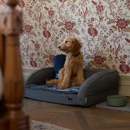 Detmolder Hof Hotell