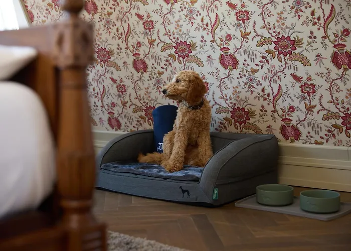 德特莫尔德霍夫酒店 酒店