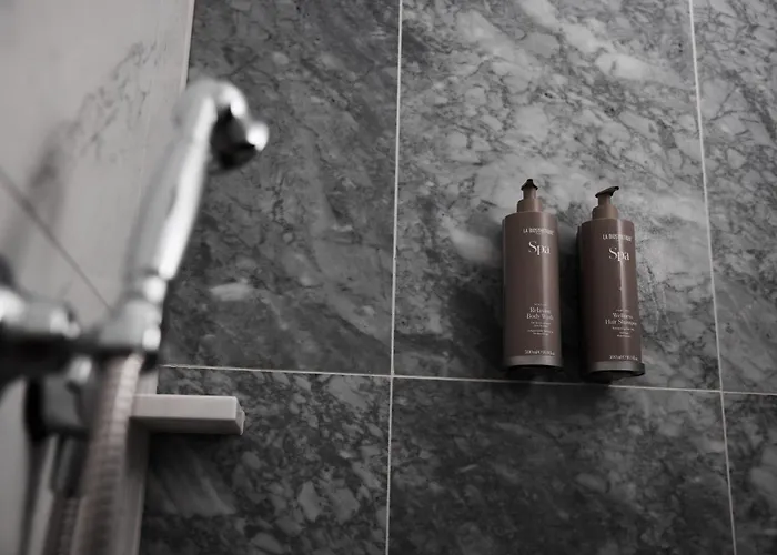 德特莫尔德霍夫酒店 酒店 4*