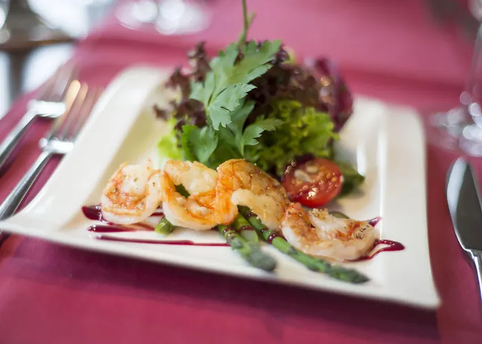 德特莫尔德霍夫酒店 酒店 4*